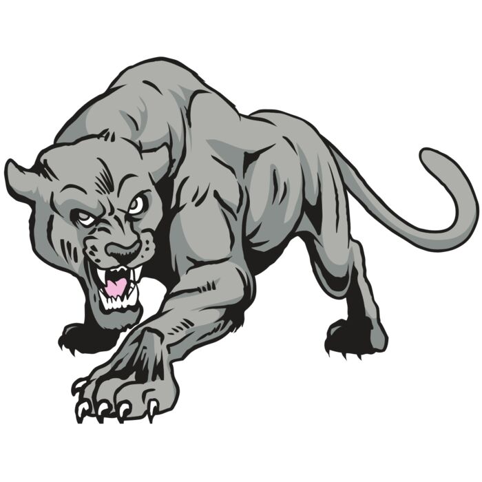 AR31 COUGAR 01 RQC Vignette