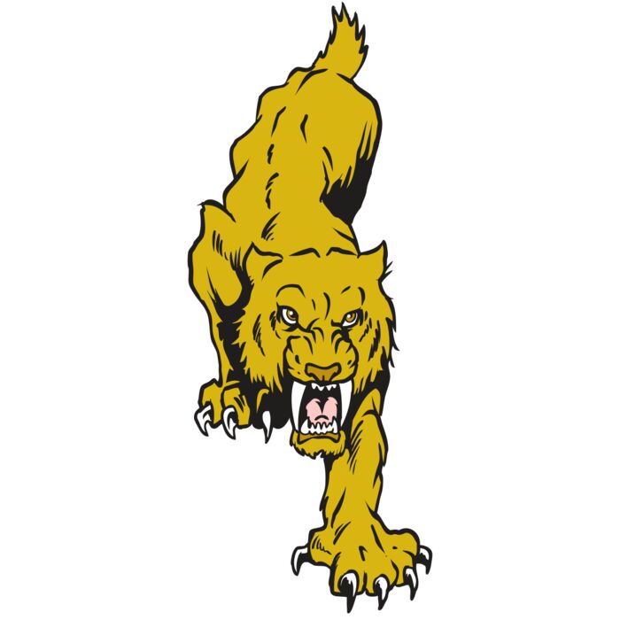 AR30 SABER 08 RQC Vignette