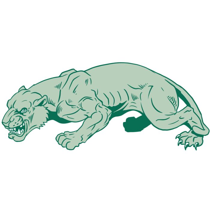 AR10 PANTHER 05 RQC Vignette