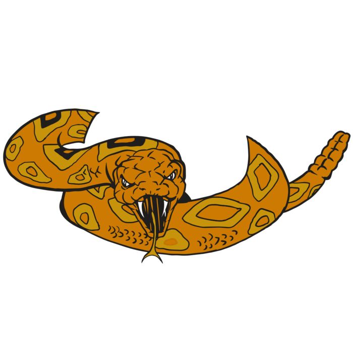 AR23 SNAKE 04 RQC Vignette