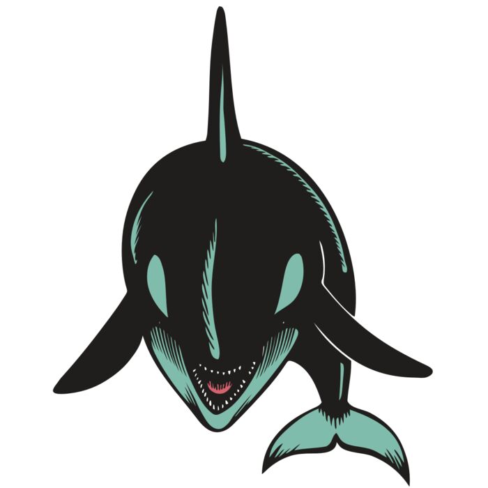 BAW KLRWHALE 03 RC Vignette