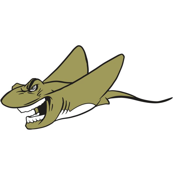 AR19 STINGRAY 07 RQC Vignette