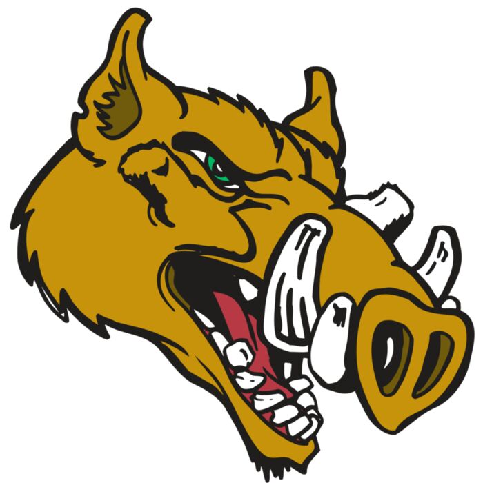 AR RAZORBACK 17 RC Vignette