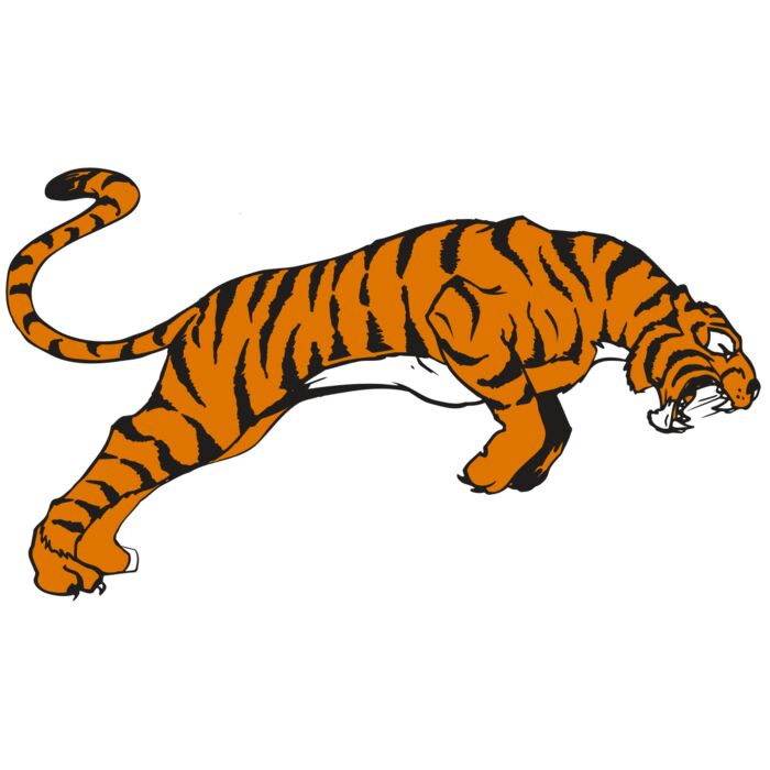 AR TIGER 79 RC Vignette