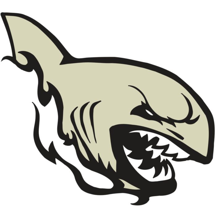 AR5 Shark 08 RQC Vignette