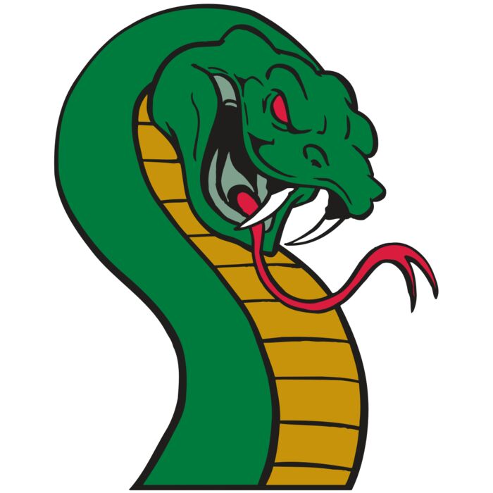 AR SNAKE 12 RC Vignette