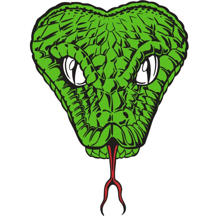 BAW SNAKE 08 RC Vignette