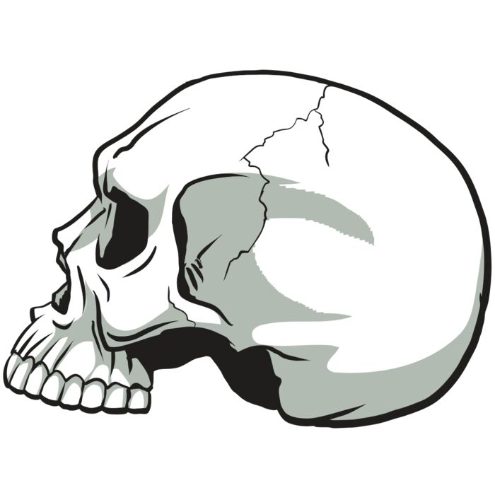 AR24 SKULL 11 RQC Vignette