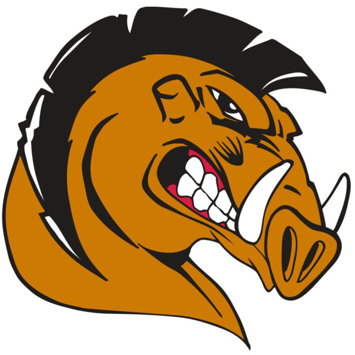 AR RAZORBACK 19 RC Vignette