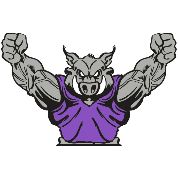 AR RAZORBACK 10 RC Vignette