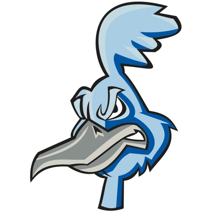 ROADRUNNER HD0501 RQC Vignette