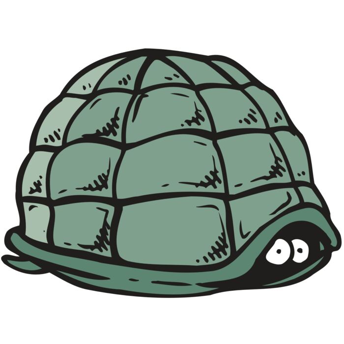 AR5 Turtle 10 RQC Vignette