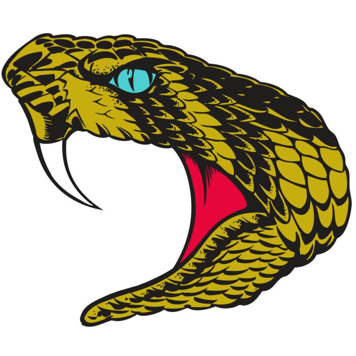 BAW SNAKE 16 RC Vignette