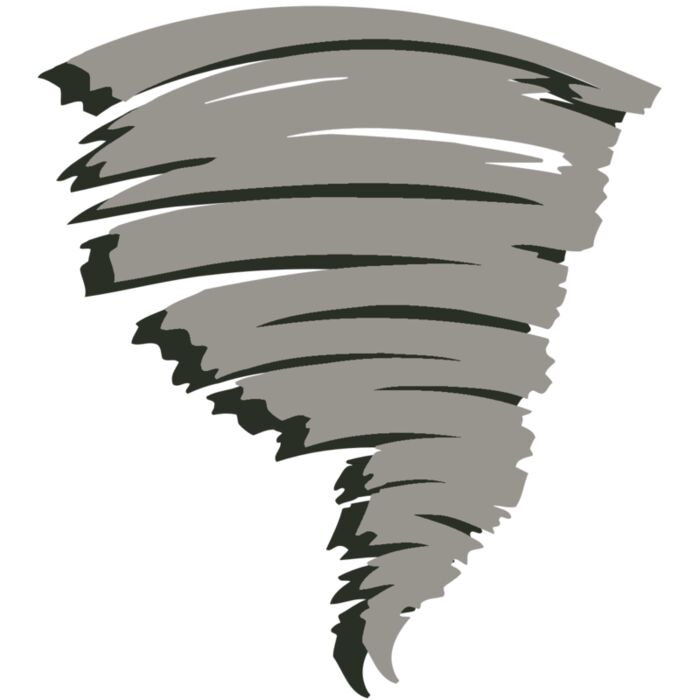 AR STORM 11 RC Vignette