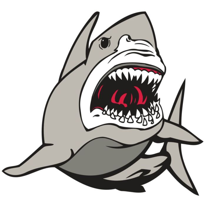 AR5 Shark 07 RQC Vignette