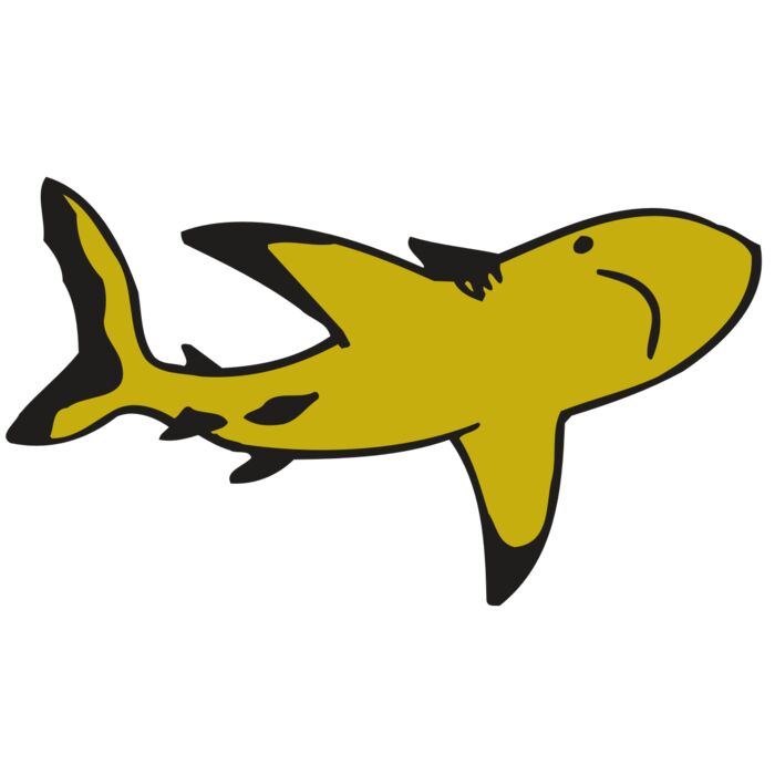 AR  SHARK 32 RC Vignette