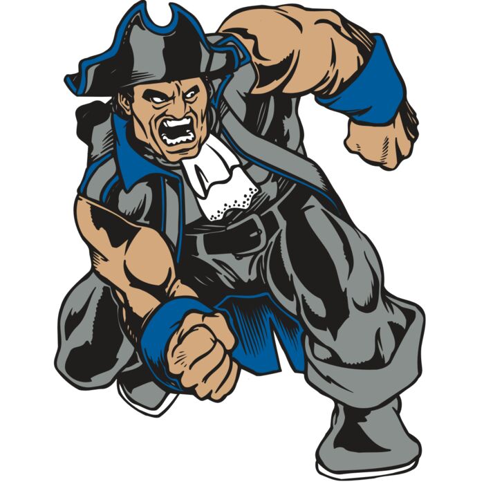 AR PATRIOT 11 RC Vignette