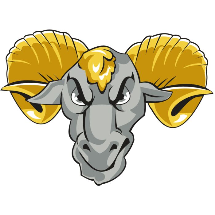 RAM HD0502 RQC Vignette