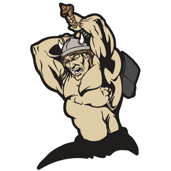 AR VIKING 19 RC Vignette