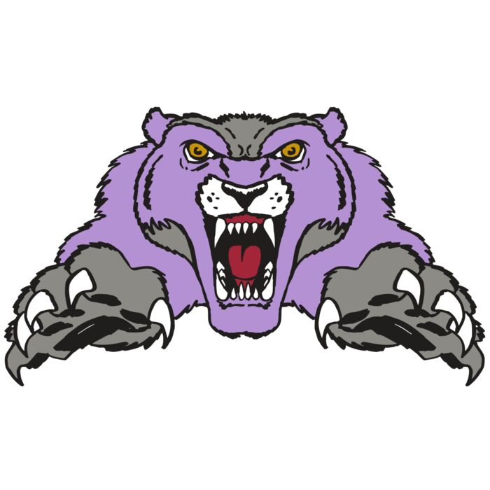 AR WOLVERINE 17 RC Vignette