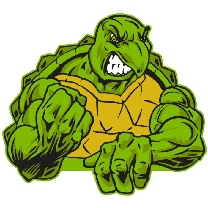 AR31 TURTLE 01 RQC Vignette