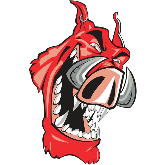 RAZOR HD0502 RQC Vignette