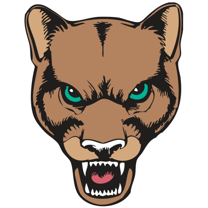 BAW COUG PANTH 02 R Vignette