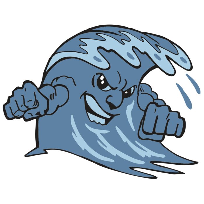 AR WAVE 11 RC Vignette