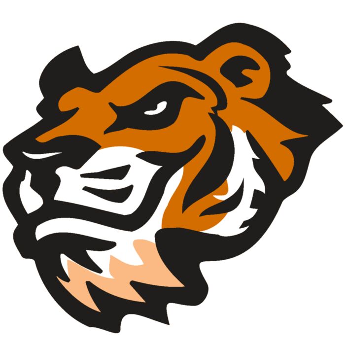 AR TIGER 21 RC Vignette