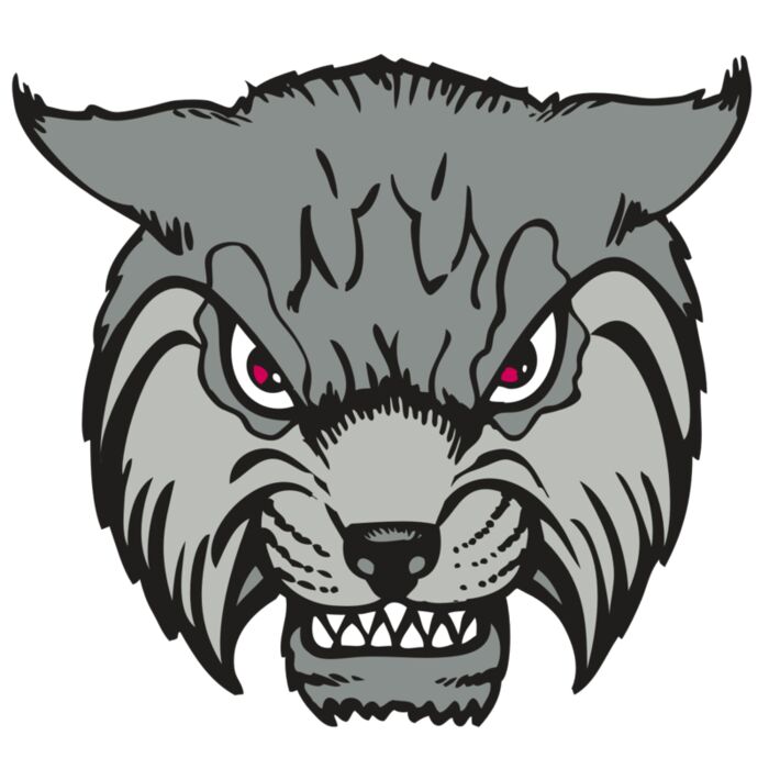 BAW BOBCAT 02 RC Vignette