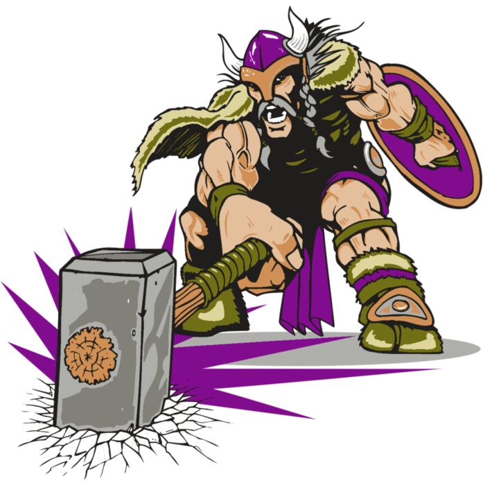 AR VIKING 27 RC Vignette