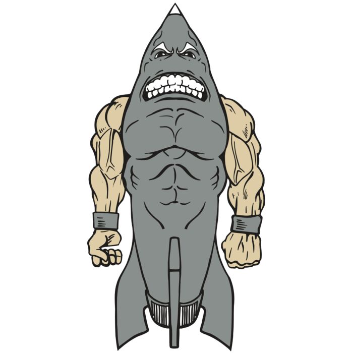 AR ROCKET 23 RC Vignette