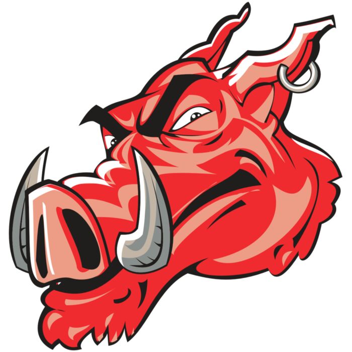 RAZOR HD0501 RQC Vignette