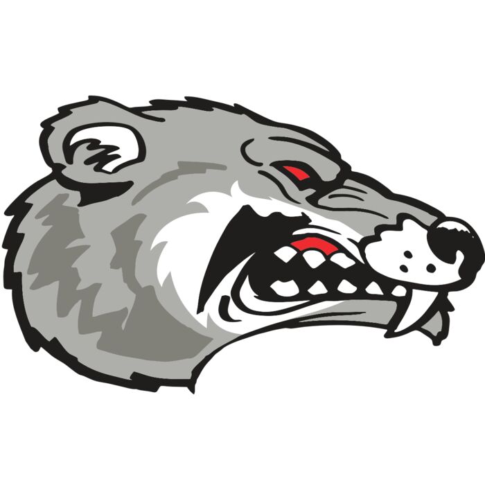 AR WOLVERINE 13 RC Vignette