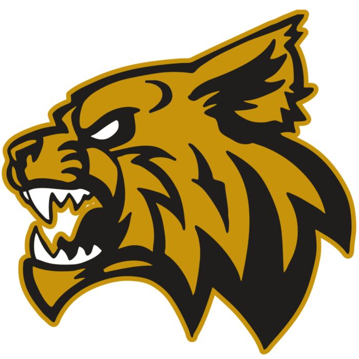 AR WILDCAT 16 RC Vignette