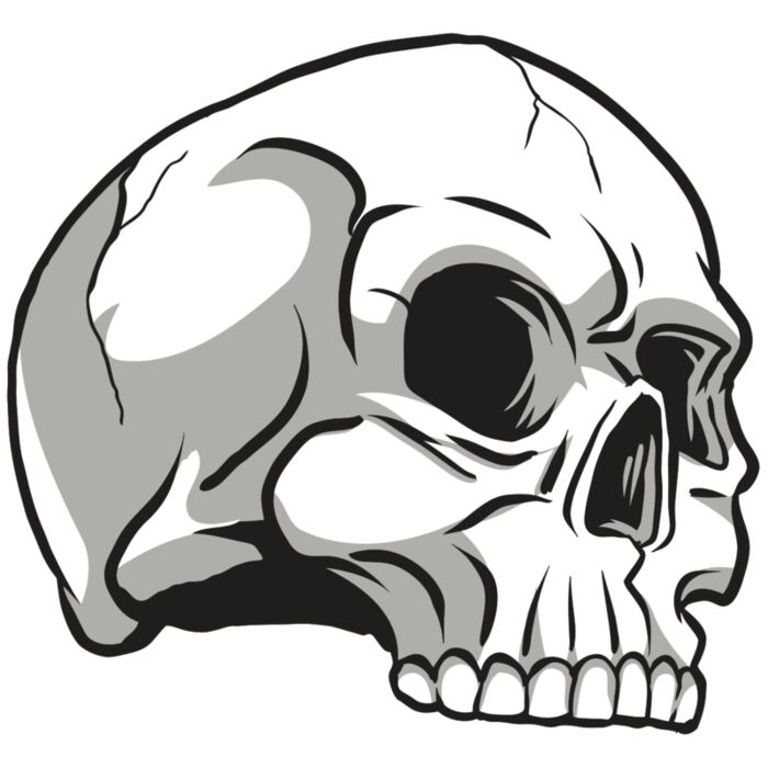 AR24 SKULL 10 RQC Vignette