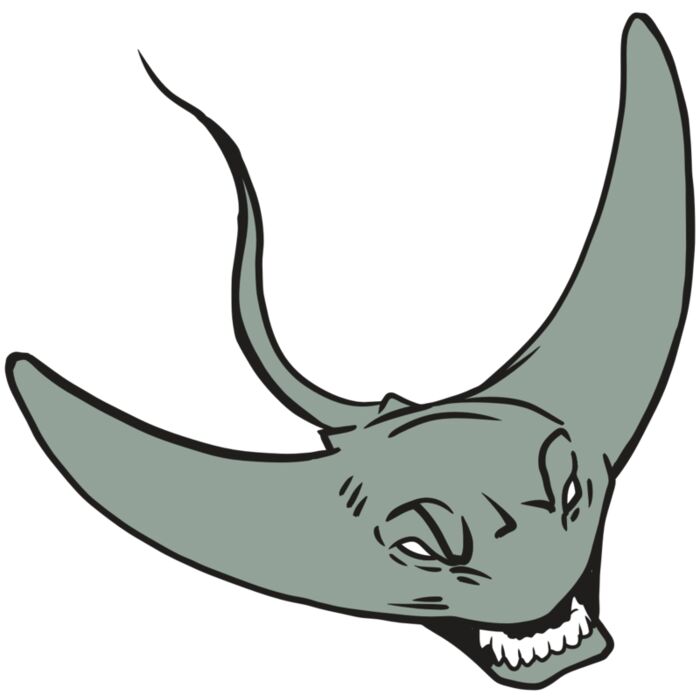 AR19 STINGRAY 05 RQC Vignette