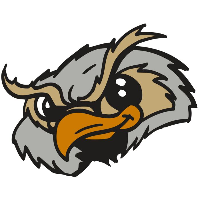 AR5 Owl 06 RQC Vignette