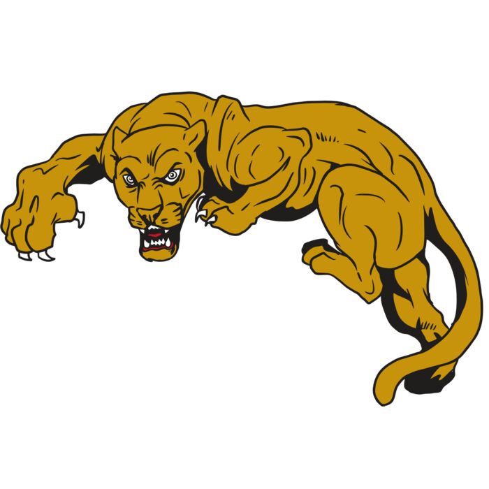 AR10 PANTHER 02 RQC Vignette