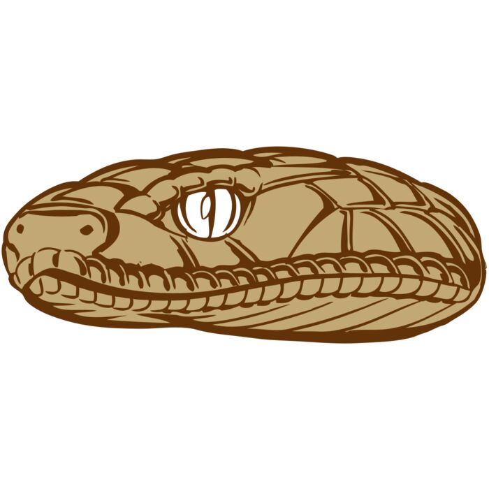 BAW SNAKE 12 RC Vignette