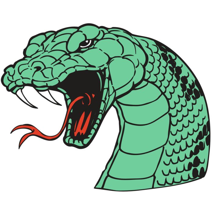 AR SNAKE 10 RC Vignette