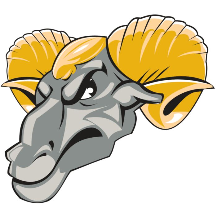 RAM HD0501 RQC Vignette