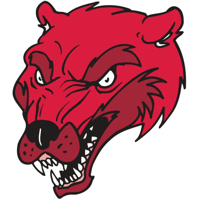 AR5 Wolverine 12 RQC Vignette