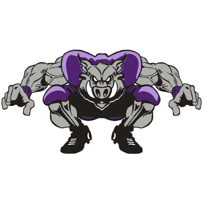 AR RAZORBACK 28 RC Vignette