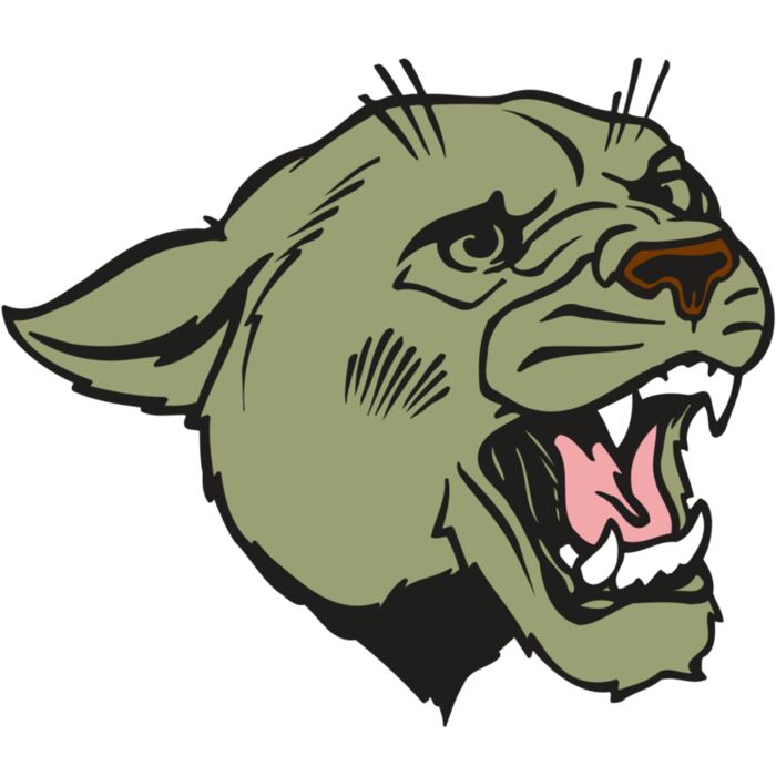 AR COUGAR 40 RC Vignette