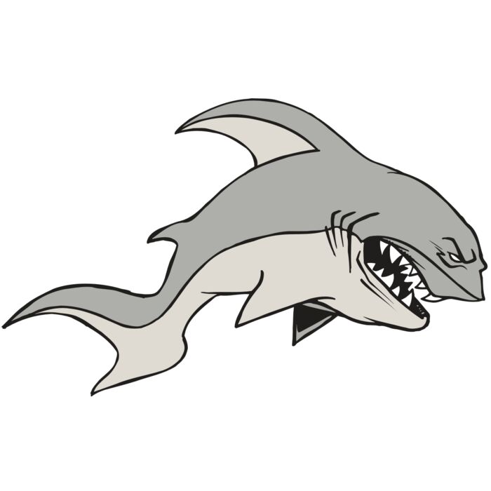 AR5 Shark 10 RQC Vignette