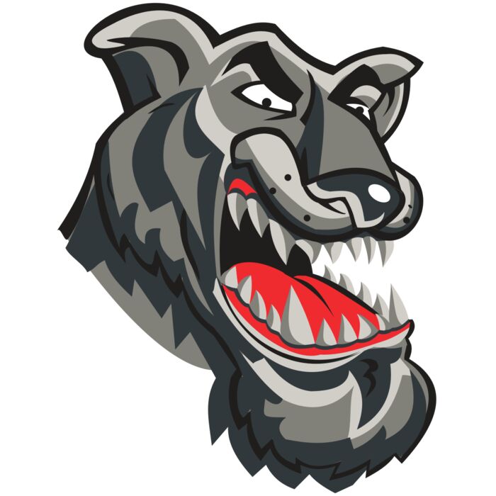 PANTHER HD0504 RQC Vignette