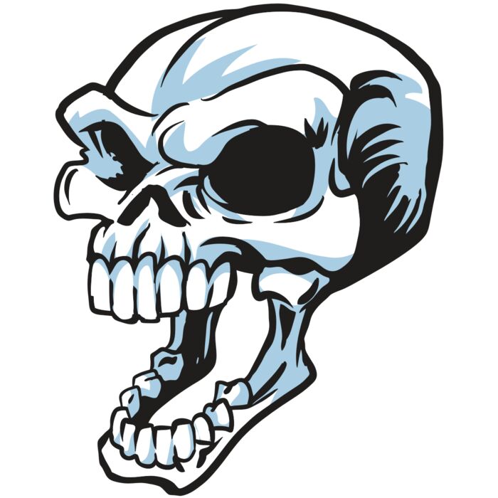 AR24 SKULL 15 RQC Vignette