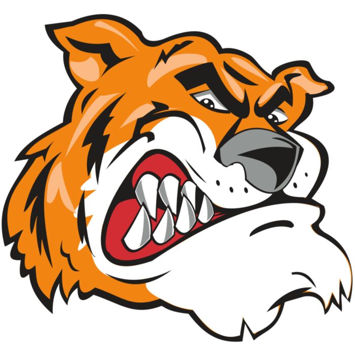 TIGER HD0503 RQC Vignette