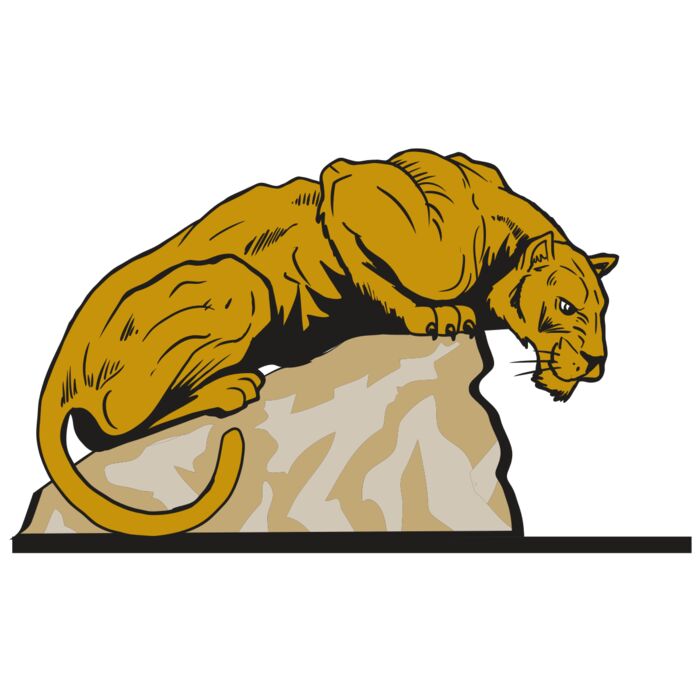 AR10 PANTHER 01 RQC Vignette